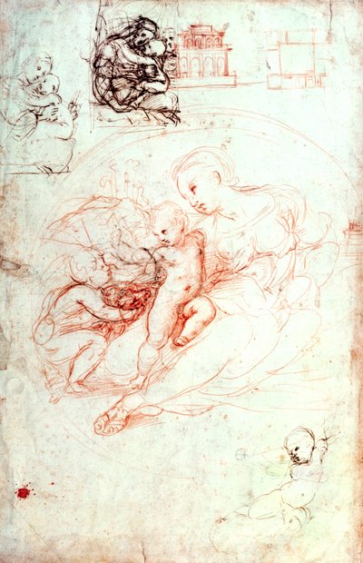 Study for the Alba Madonna by Raffaello Sanzio Raphael